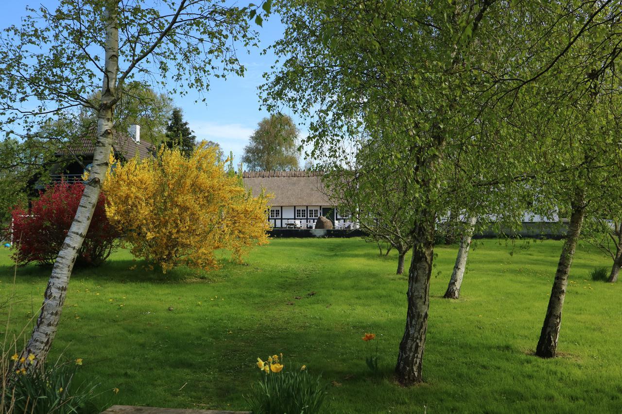 Birkelygaard Bed & Breakfast Hårby Esterno foto